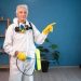 Moisture Problems in Walls: The Root Cause of Pest Infestations