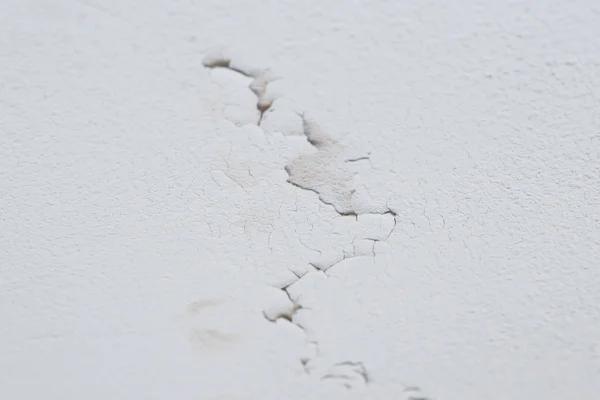 Reliable Water Damage Restoration for Homes and Businesses