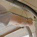 Trusted Garage Door Company Fort Collins for All Your Needs