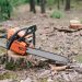 Reliable tree service near me for Safe & Clean Yards