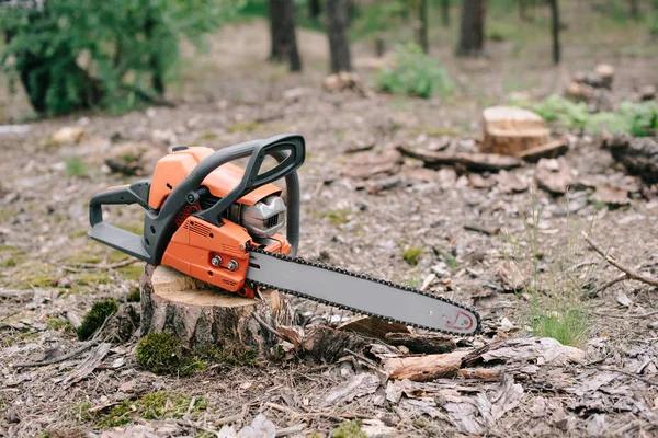 Reliable tree service near me for Safe & Clean Yards