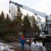 Sindt Tree Service of Auburn Providing Reliable Tree Removal Solutions