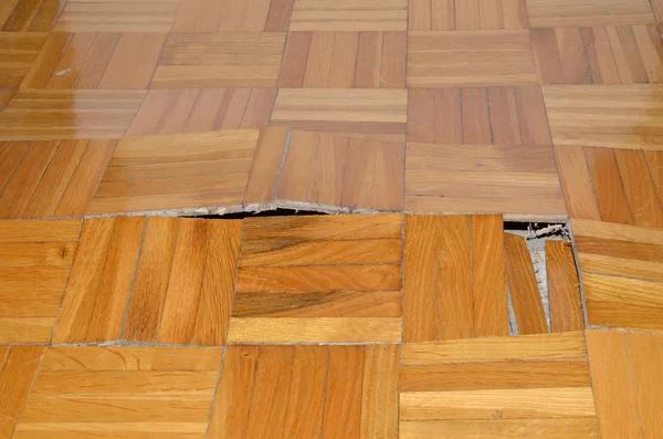 Certified Professional Water Damage Restoration Services for Complete Restoration