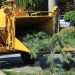 Affordable Tree Service Auburn Homeowners Can Rely On