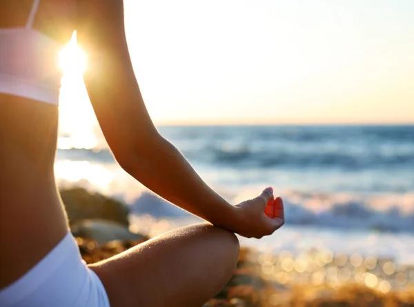 How Natural Ingredients Promote a Healthy Immune System