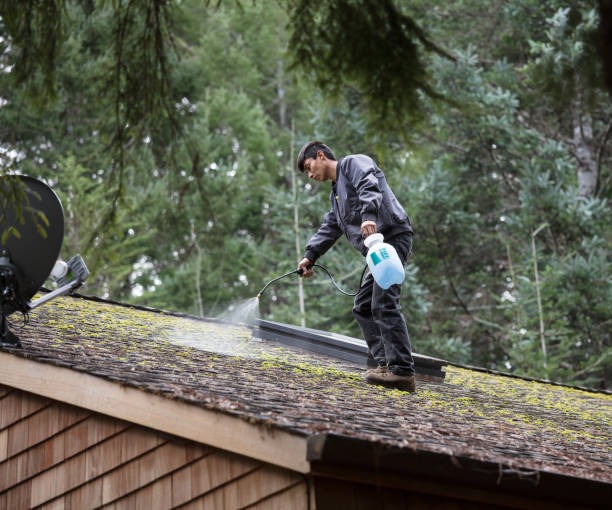 Understanding High Water Pressure at Home and How to Protect Your Plumbing Fixtures